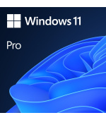 ESD MS Windows 11 Profesional 64-bit All Lng PK Lic Online DwnLd NR