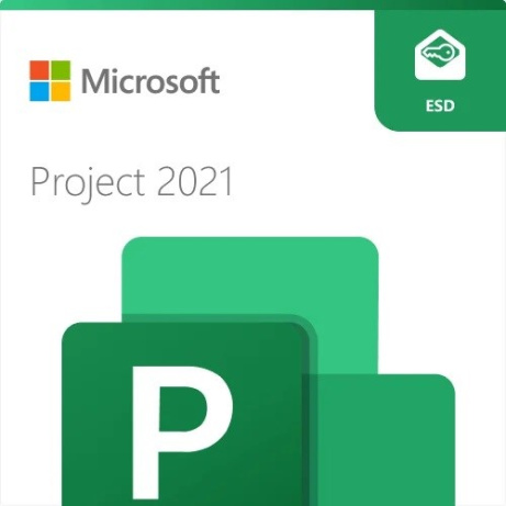 Project Standard 2021 ESD