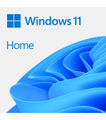 Windows Home 11 64-BIT ESD