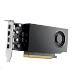 DELL NVIDIA RTX A1000 8 GB GDDR6 half height PCIe 4.0x8 4 mDP Graphics Card