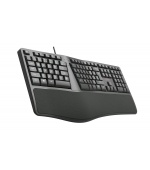 Klávesnice C-TECH KB-113E USB, ERGO,  černá, CZ/SK