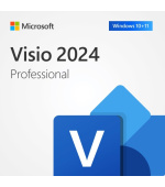 Visio Pro 2024 ESD