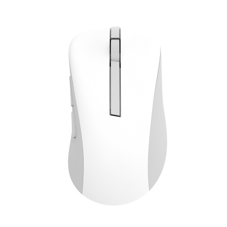 ASUS Wireless Mouse MD102/Kancelářská/Optická/Pro praváky/1 600 DPI/USB+BT/Bílá