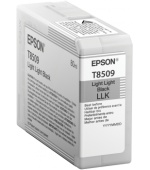 Epson Singlepack Photo Light Light Black T850900 UltraChrome HD ink 80ml