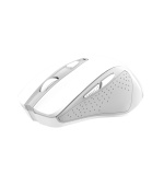 TRUST NITO SILENT WIRELESS MOUSE - WHITE