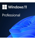 Windows Pro 11 64-BIT ESD