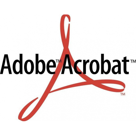 Acrobat Standard  2020 WIN ENG NEW GOV Lic 1+ (360)