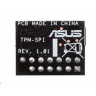 ASUS TPM-SPI