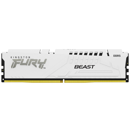 Kingston FURY Beast EXPO/DDR5/16GB/6000MHz/CL36/1x16GB/White