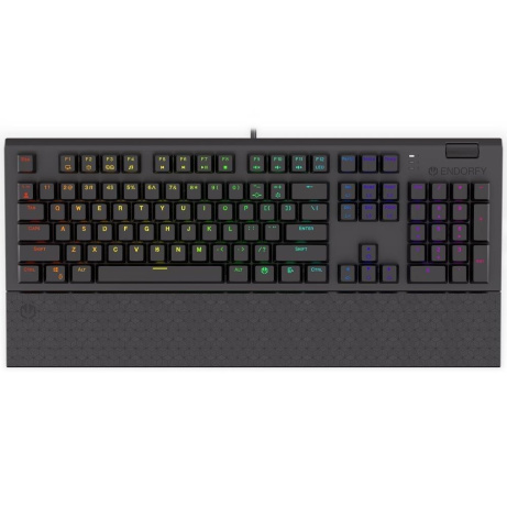 Endorfy herní klávesnice Omnis Kaihl BR RGB / USB / brown switch / drátová /mechanická/US layout/černá RGB