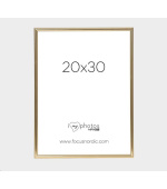 Focus Can-Can Shiny Gold 20x30