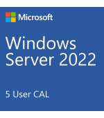 DELL Windows Server 2022 Standard,No Media, WS2019 Std Downgrade w/DVD Media,Multi Lang, Customer Kit