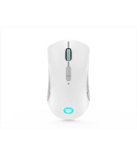 Lenovo Legion M600 Wireless Gaming Mouse (Stingray)