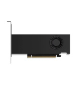 NVIDIA RTX 2000 Ada/16GB/GDDR6